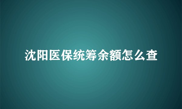 沈阳医保统筹余额怎么查