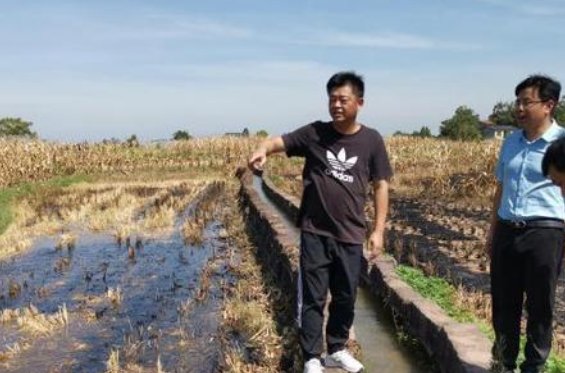 高温致重庆33个区县部分地区土壤轻到重度缺墒，当地采取了哪些应对措施？