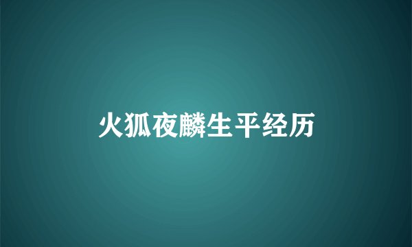 火狐夜麟生平经历