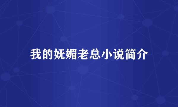 我的妩媚老总小说简介