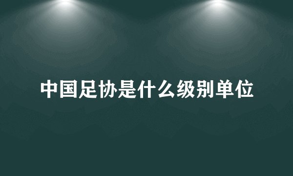 中国足协是什么级别单位