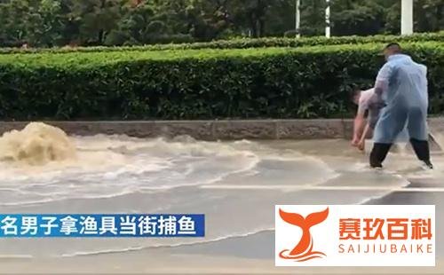 广州雨后路人当街捕鱼,现场接连捕到多条大鱼