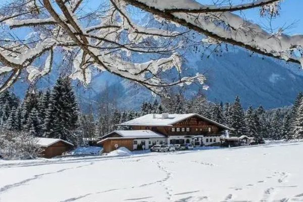 春天下雪的诗句 古诗