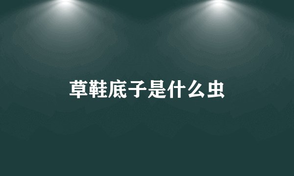 草鞋底子是什么虫