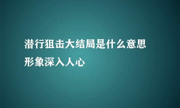 潜行狙击大结局是什么意思 形象深入人心