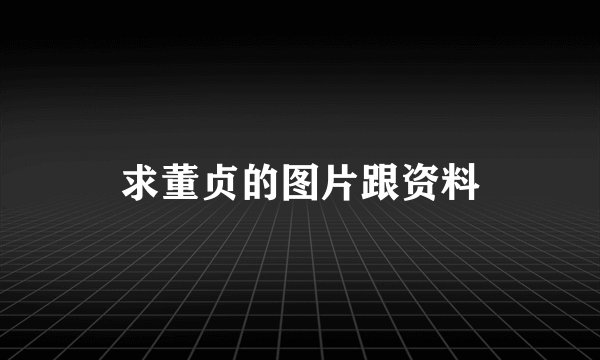 求董贞的图片跟资料