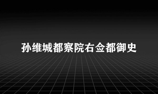 孙维城都察院右佥都御史