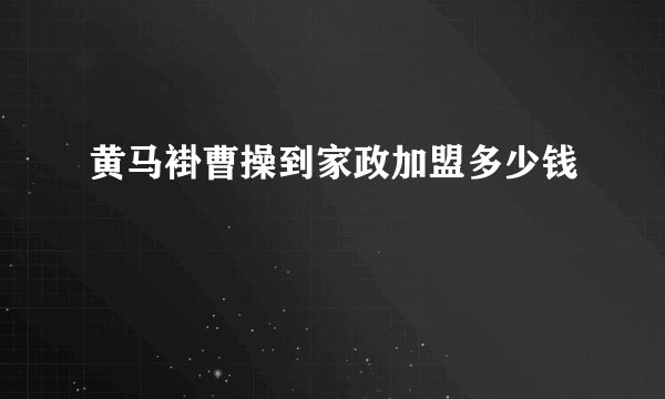 黄马褂曹操到家政加盟多少钱
