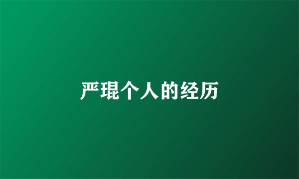 严琨个人的经历