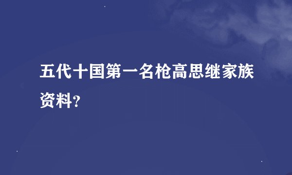 五代十国第一名枪高思继家族资料？