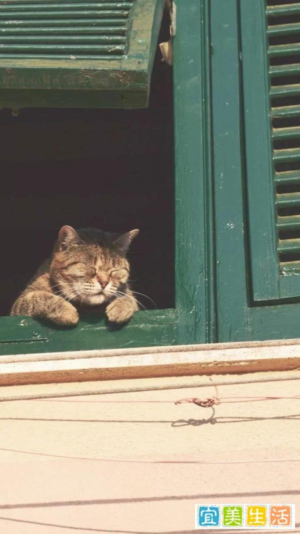 有哪些神仙英语句子！