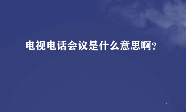 电视电话会议是什么意思啊？