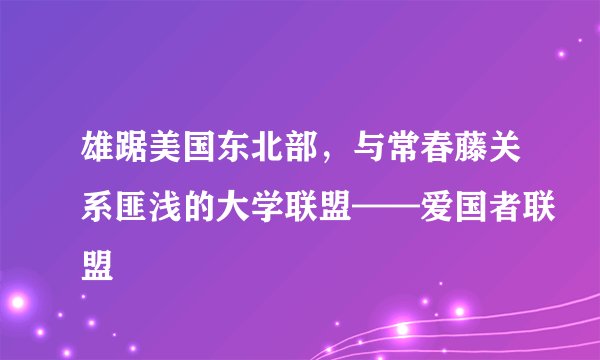 雄踞美国东北部，与常春藤关系匪浅的大学联盟——爱国者联盟