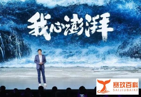 是进步还是退步？小米自研澎湃C1处理器。