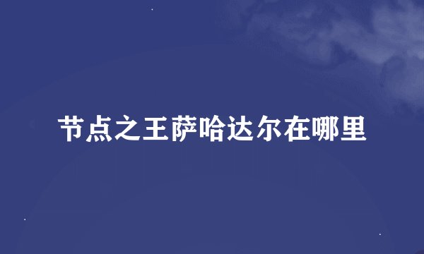 节点之王萨哈达尔在哪里