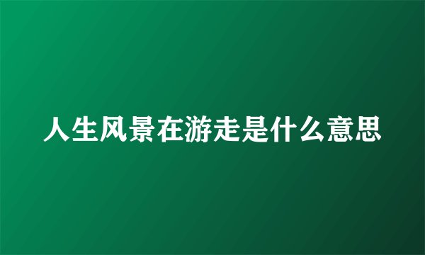 人生风景在游走是什么意思