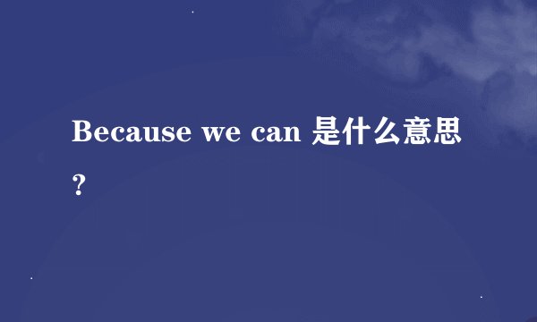 Because we can 是什么意思?