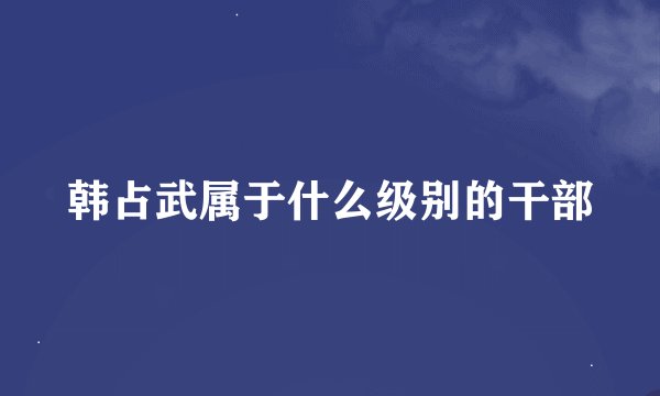 韩占武属于什么级别的干部