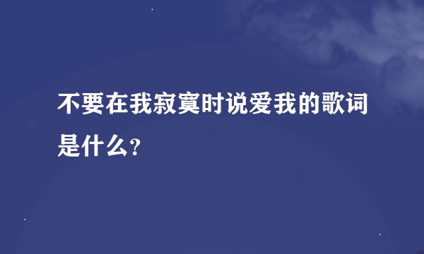 不要在我寂寞时说爱我的歌词是什么？