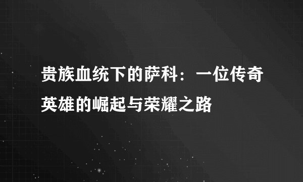 贵族血统下的萨科：一位传奇英雄的崛起与荣耀之路