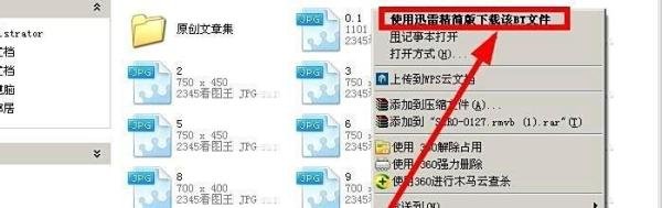 迅雷怎样下载视频种子