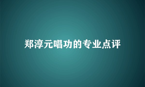 郑淳元唱功的专业点评