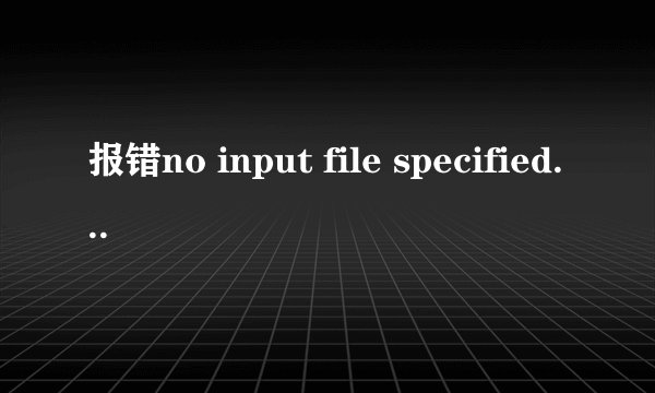 报错no input file specified.怎么解决