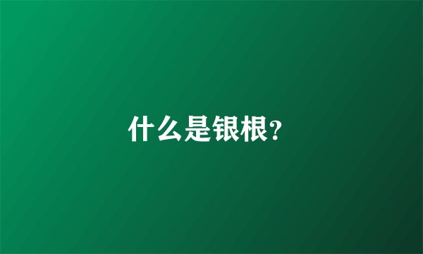什么是银根？
