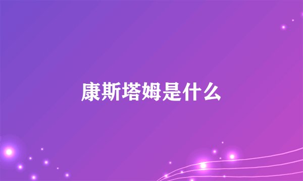 康斯塔姆是什么
