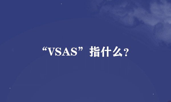 “VSAS”指什么？
