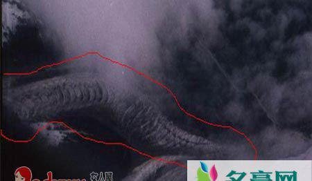 卫星拍到的真龙凤凰被证实，并无龙凤生物只是一场误会