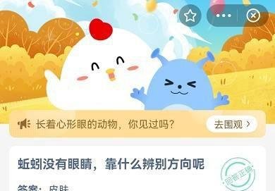 《蚂蚁庄园》蚯蚓没有眼睛,靠什么辨别方向呢?