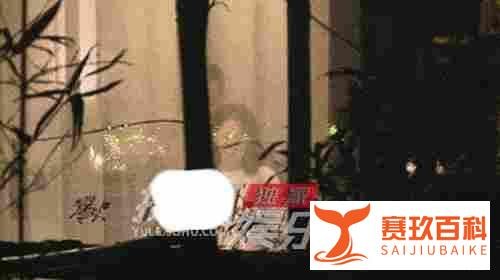 独家：左小青任程伟聚餐喝酒 醉酒后狼狈瘫倒