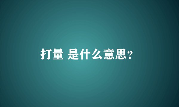 打量 是什么意思？