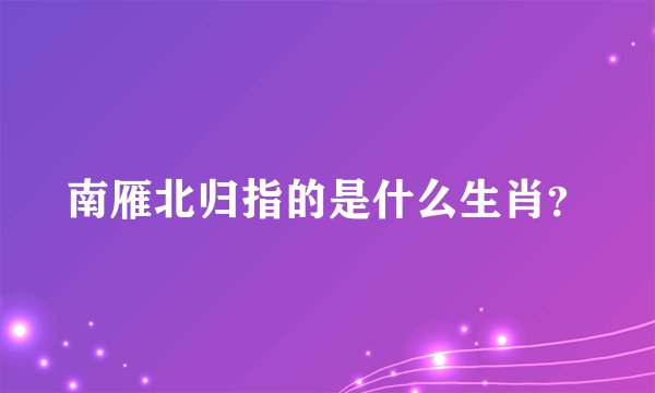 南雁北归指的是什么生肖？