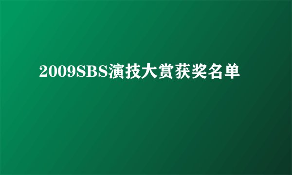 2009SBS演技大赏获奖名单