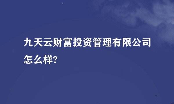 九天云财富投资管理有限公司怎么样?