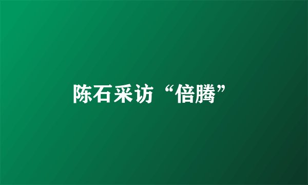 陈石采访“倍腾”