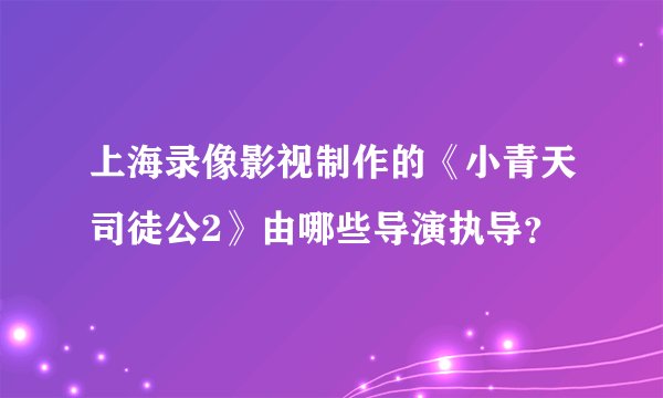上海录像影视制作的《小青天司徒公2》由哪些导演执导？