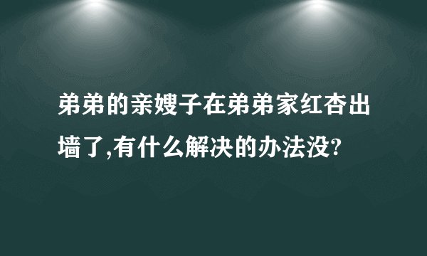 弟弟的亲嫂子在弟弟家红杏出墙了,有什么解决的办法没?