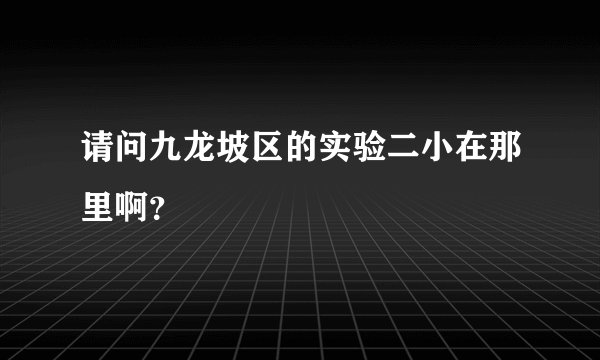 请问九龙坡区的实验二小在那里啊？