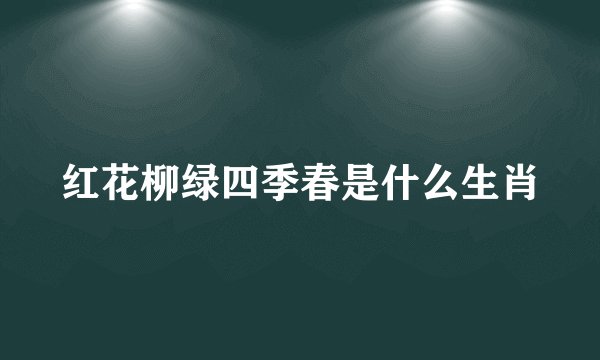 红花柳绿四季春是什么生肖