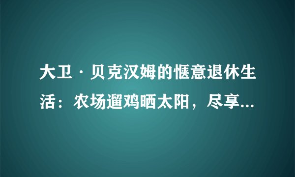 大卫·贝克汉姆的惬意退休生活：农场遛鸡晒太阳，尽享人生美好时光