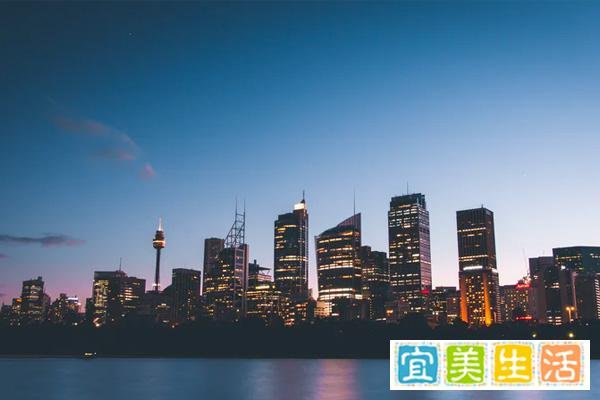 高级项目经理是做什么的