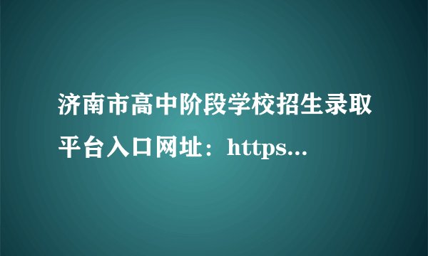 济南市高中阶段学校招生录取平台入口网址：https://czxk.jnzk.net/