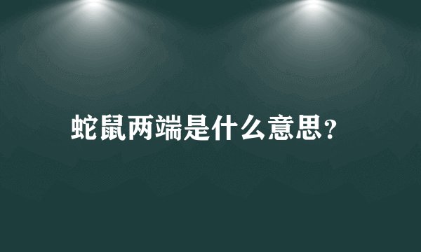 蛇鼠两端是什么意思？
