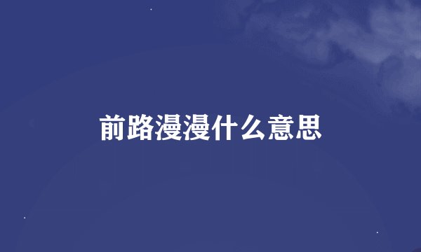 前路漫漫什么意思