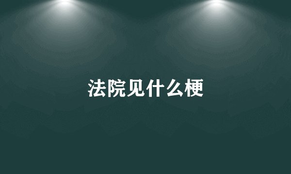 法院见什么梗