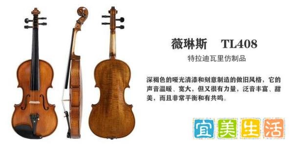 【避坑指南】2025年小提琴价格全解析：不同预算怎么选不踩坑？