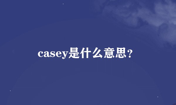 casey是什么意思？